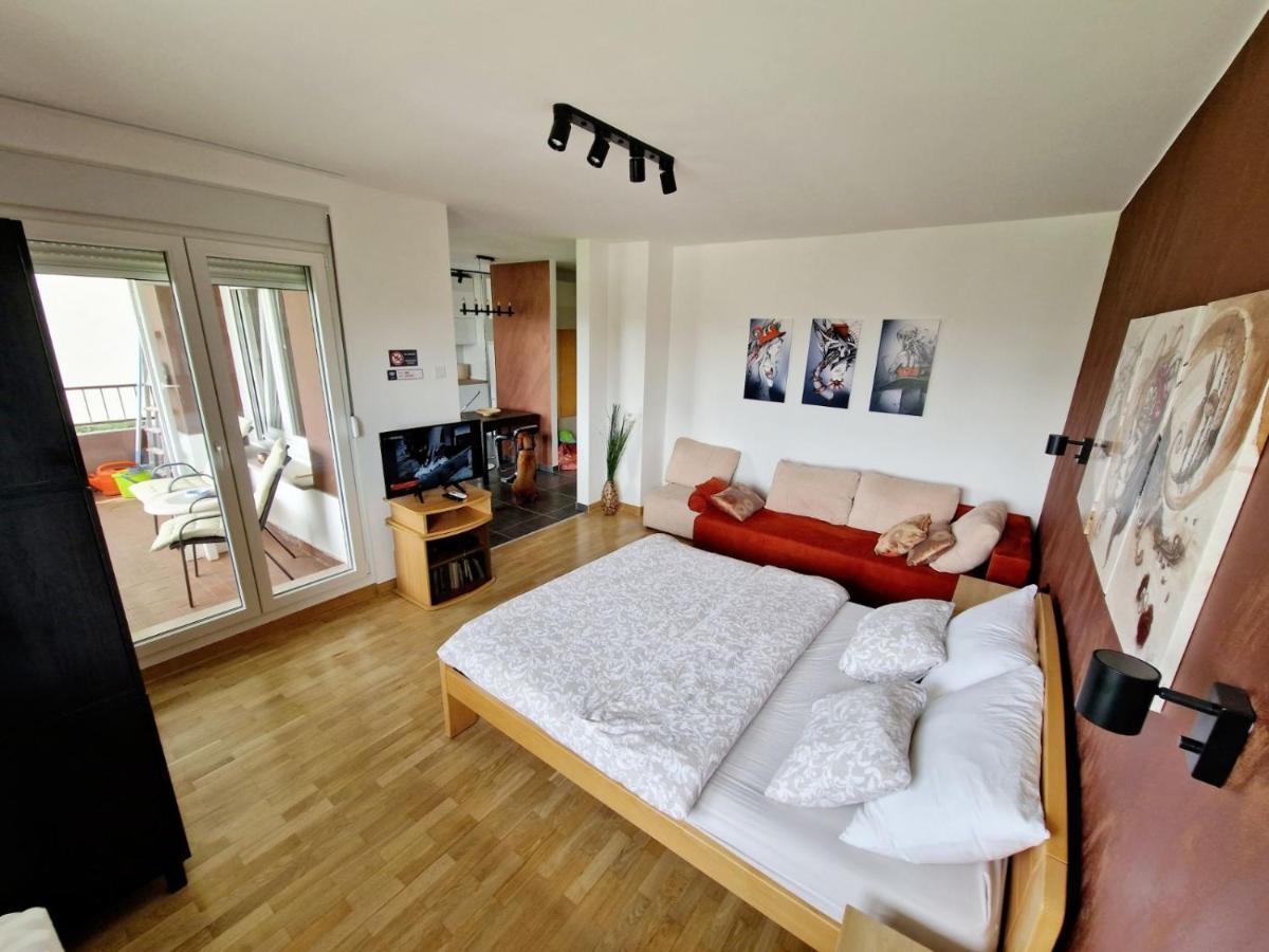 Apartment Nena Belgrado Esterno foto